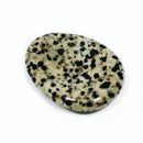 Dalmatian Jasper Worry Stone