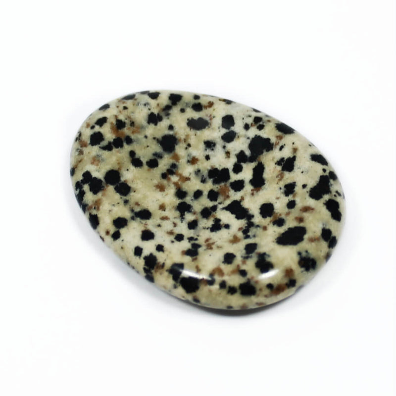 Dalmatian Jasper Worry Stone