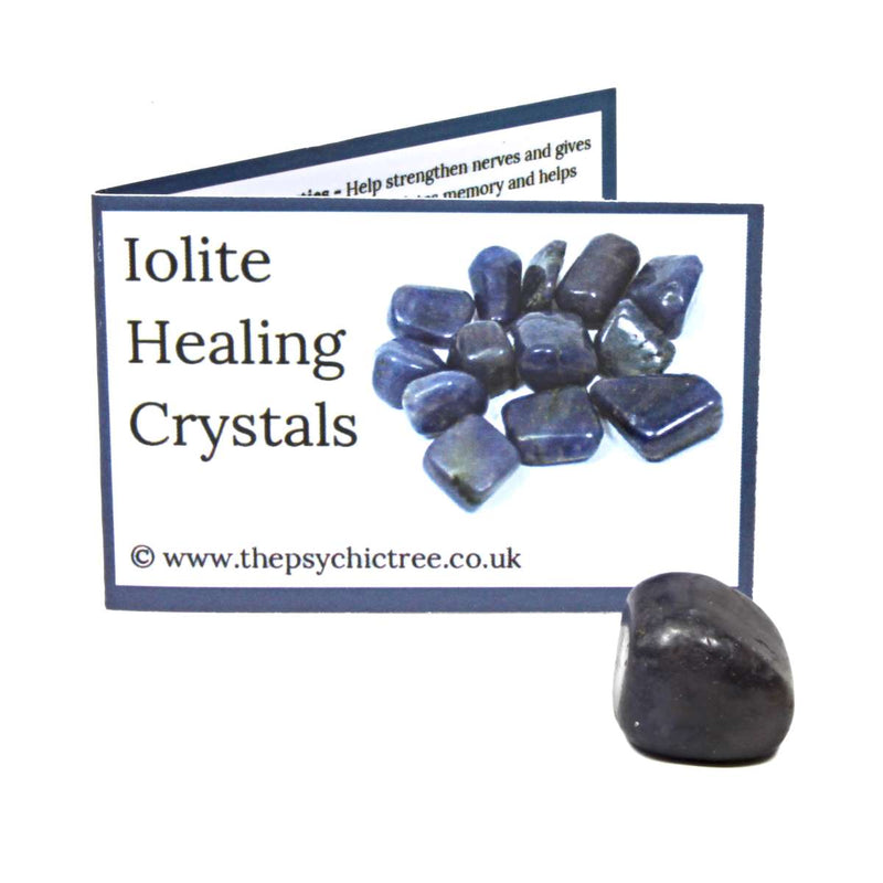 Iolite Polished Crystal & Guide Pack