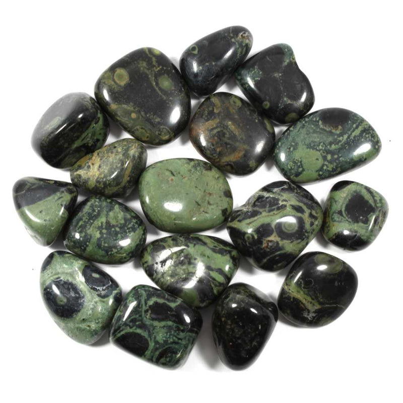 Kambaba Jasper Polished Tumblestone Healing Crystals
