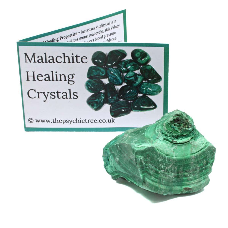 Malachite Rough Crystal & Guide Pack