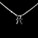 Pisces Zodiac Silver Necklace
