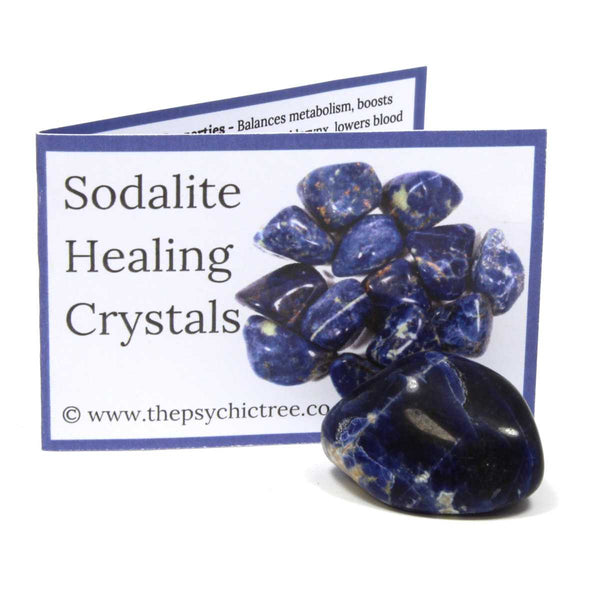 Sodalite Polished Crystal & Guide Pack