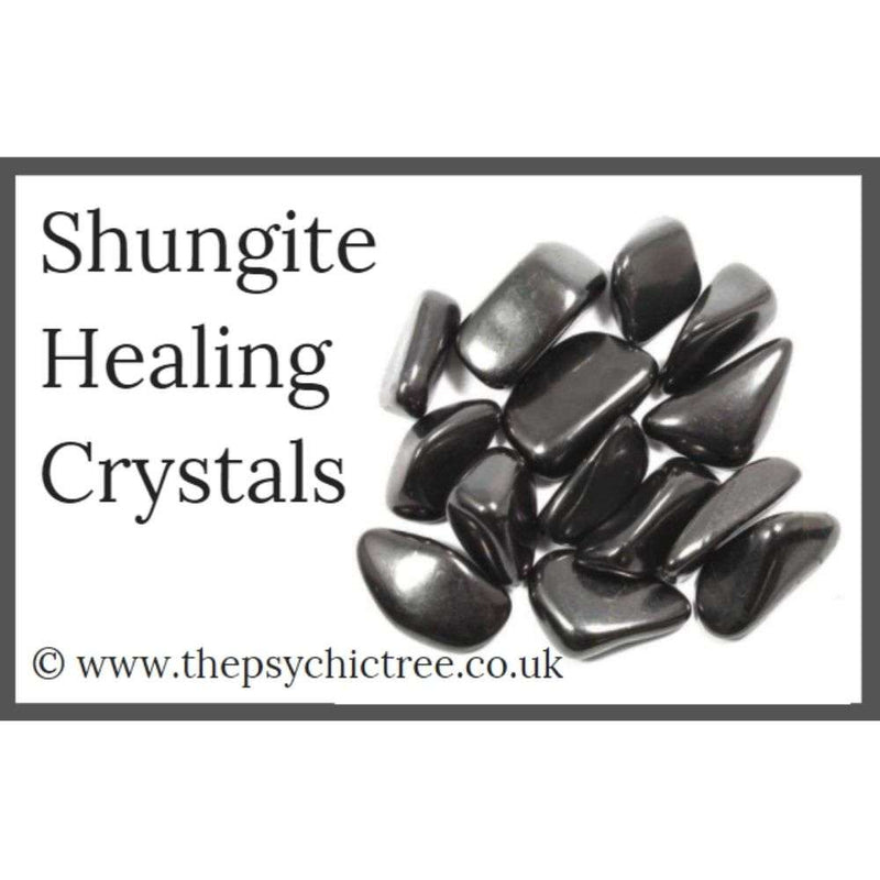 Shungite Guide Book