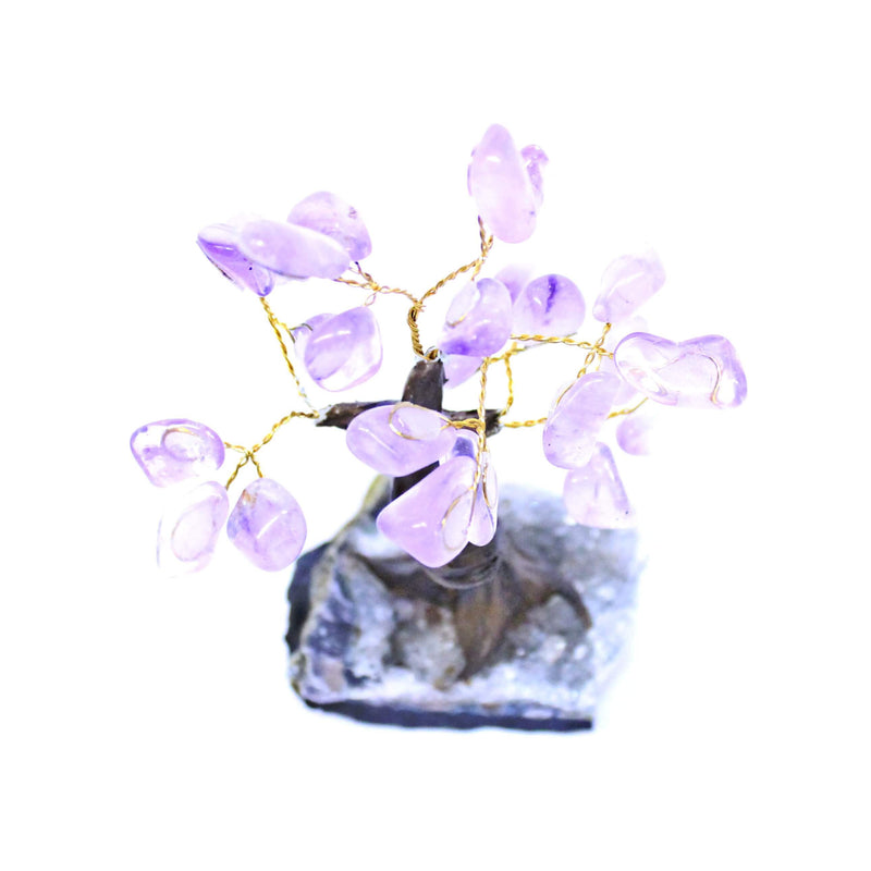 Amethyst Bonsai Tree - Medium