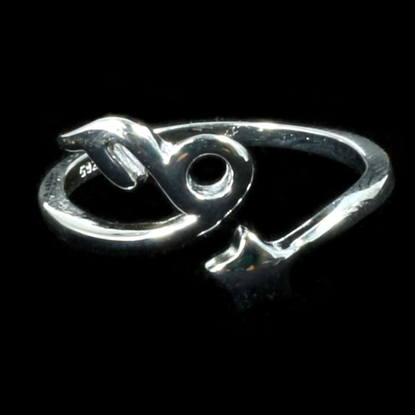 Capricorn ring hot sale
