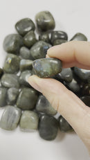 Labradorite Polished Tumblestone Healing Crystals