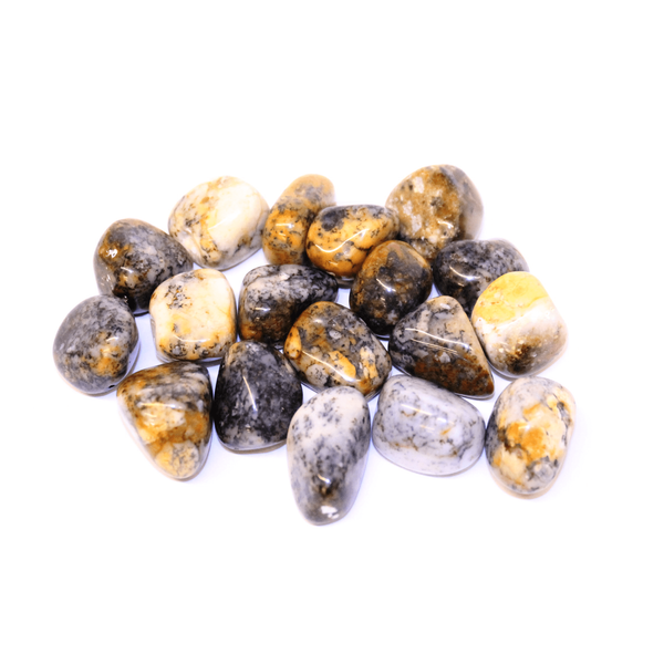 Dendritic Agate Polished Tumblestone Healing Crystals