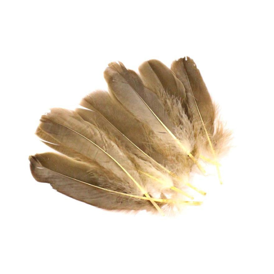 Burners, Shells & Feathers
