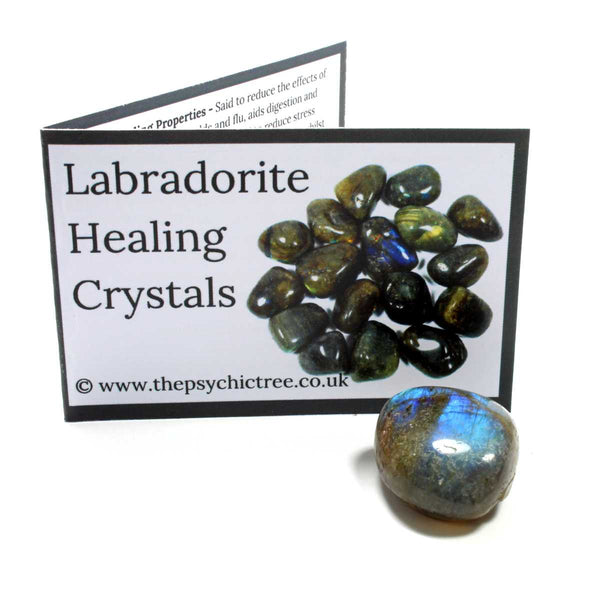 Labradorite Polished Crystal & Guide Pack