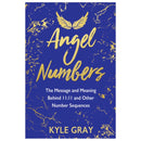 Angel Numbers : The Message and Meaning Behind 11:11 and Other Number Sequences By Kyle Gray