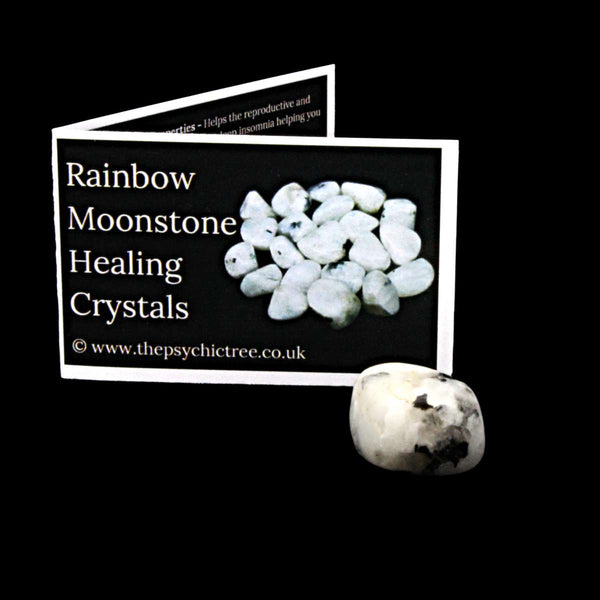 Rainbow Moonstone Polished Crystal & Guide Pack
