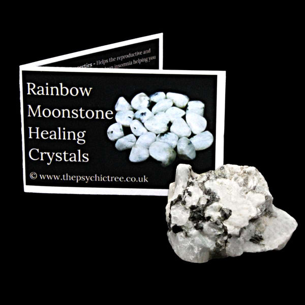 Rainbow Moonstone Rough Crystal & Guide Pack